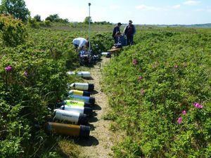 Flaschen füllen - Copyright: Anke Immelmann