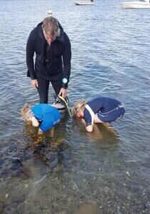 Taucher von Morgen - Copyright: Norbert Studt