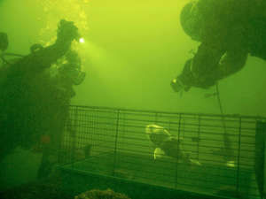 TSGA Geburtstag 2018 - Freilassung von Samuel in Bosau