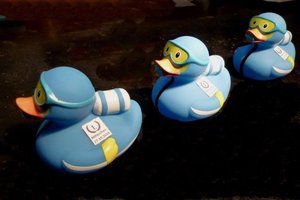 Tauchenten - Preise für Vieltaucher - Abtauchen 2019 - Copyright: Bernd Hirschmann